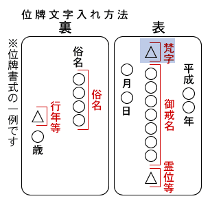 な入れ見本